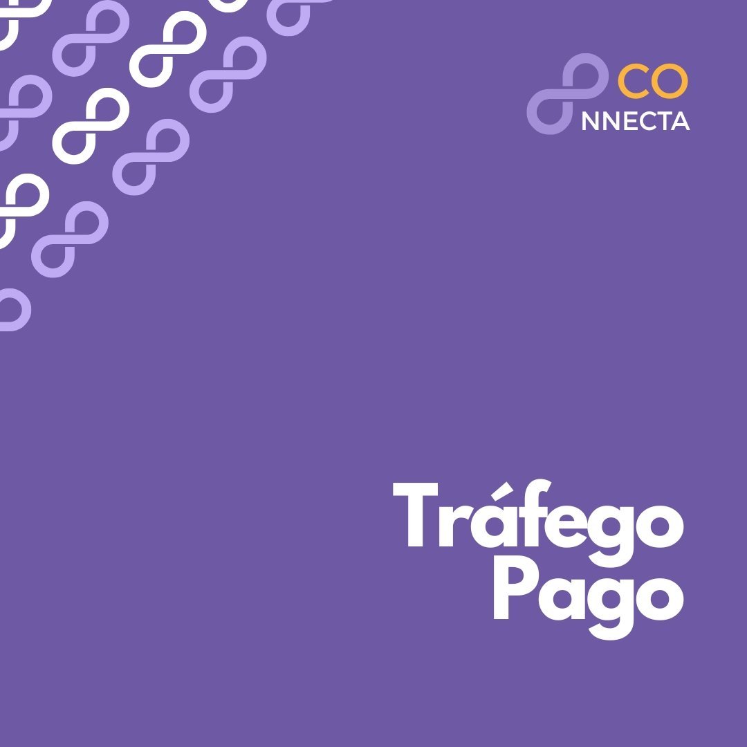 Gestão de Tráfego Pago: Demonstrações de Software para Sistemas ERP