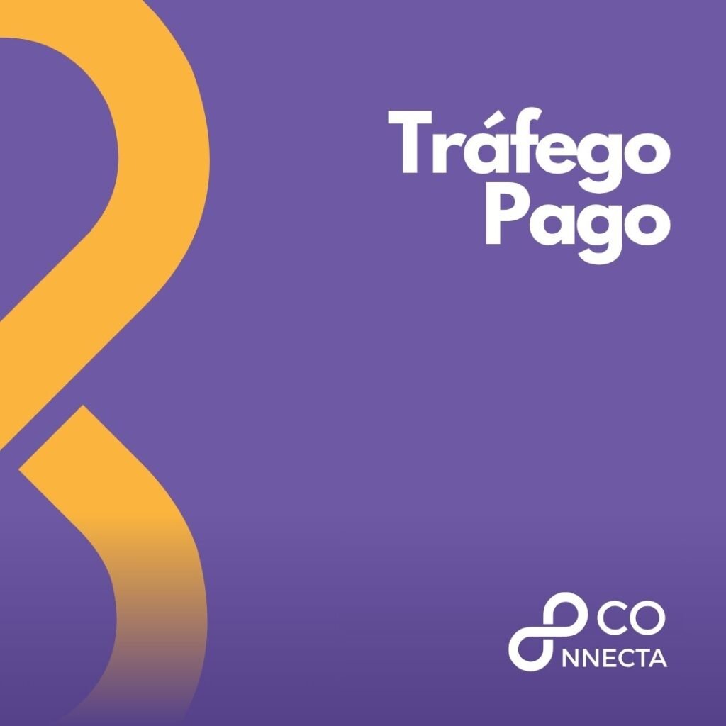 Gestão de Tráfego Pago: Hospedagem de Sites para Revendedores/Parceiros
